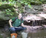 stream